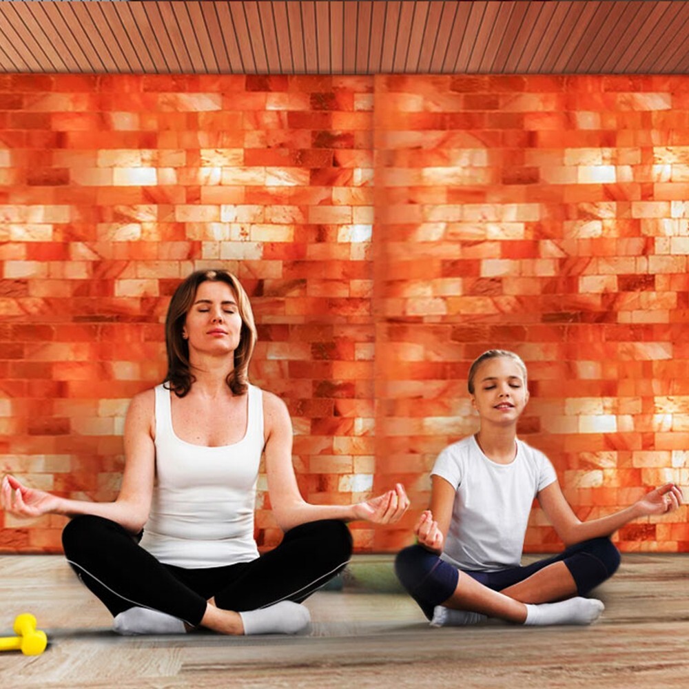Himalayan Salt Bricks, Salt Tiles 8x4x1 Pack of 50 for Spa Sauna Walls & Decor