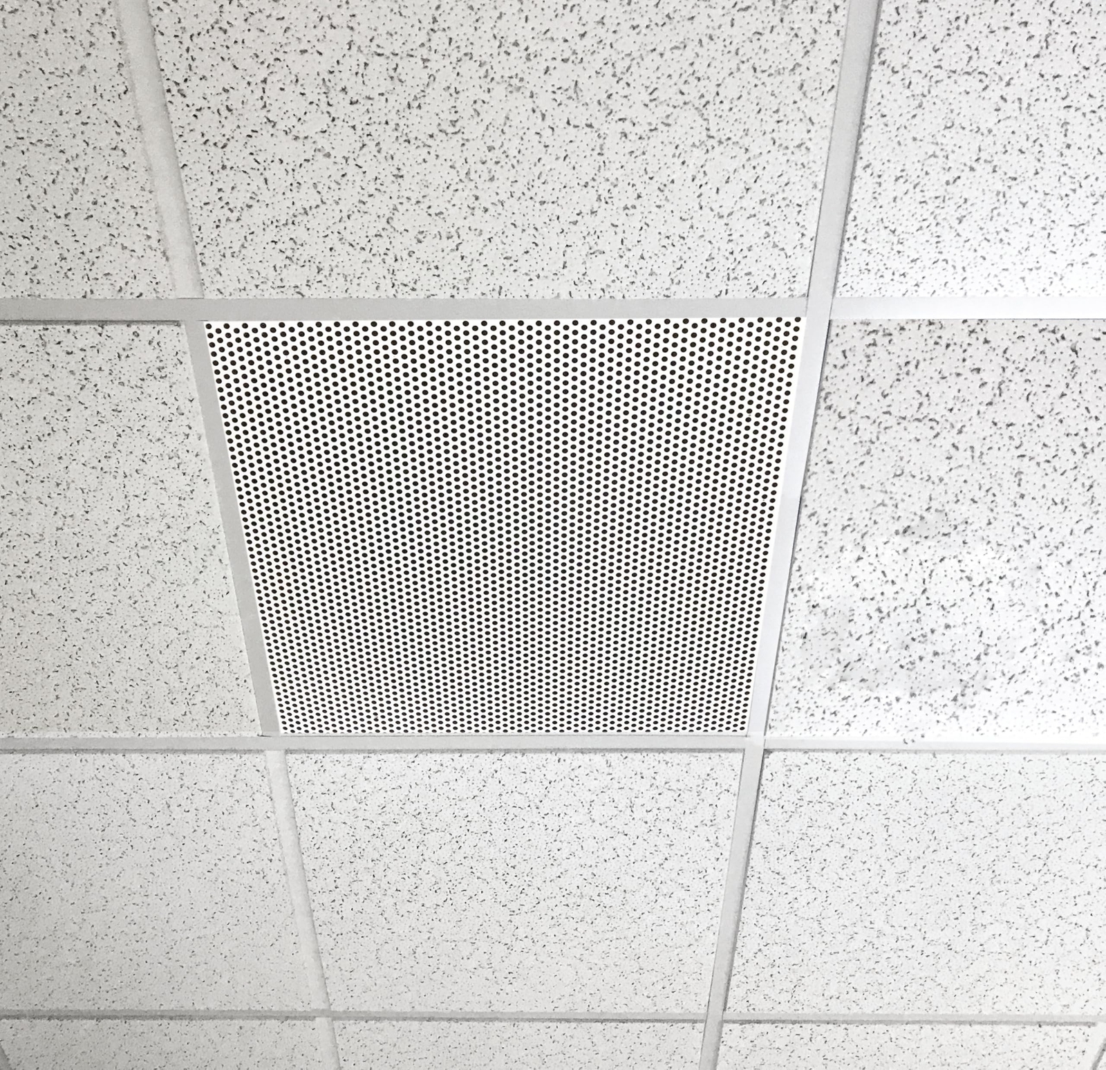 2’x2′ White Plastic Perforated Tile with 3/8″ Holes (2-Pack) 2