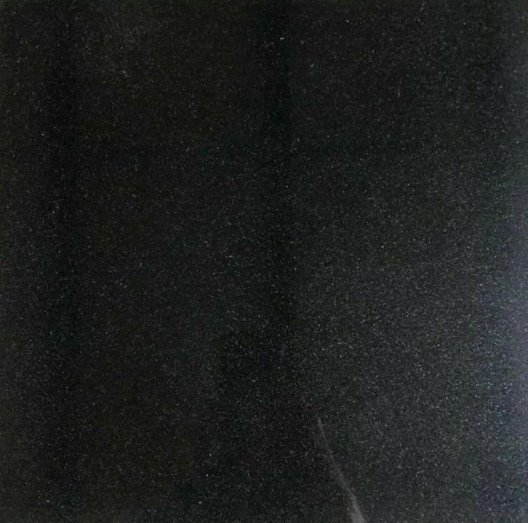 12×12 Black Granite Tile Kitchen Floor Remodel Tile (BOX OF 5) T-46