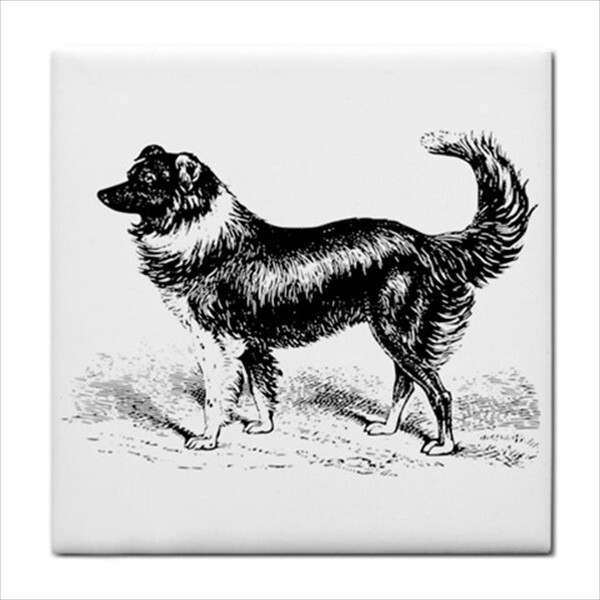 Dogs Ceramic Tile Set Of 16 Backsplash 4.25″ Tiles Home Decor Dog Breed Art