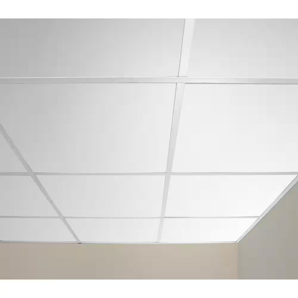 Serenity White 2 Ft. X 2 Ft. Lay-In Ceiling Panel (Case of 6)