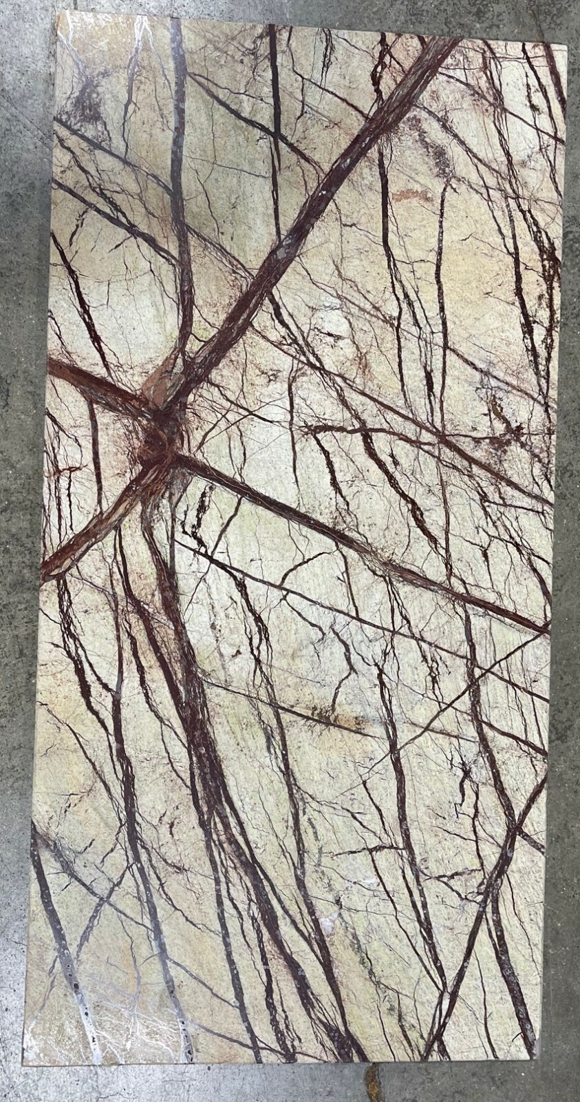 Rainforest Brown 12×24 Tile Natural Stone Remodel Floor 180 sq ft. T-100
