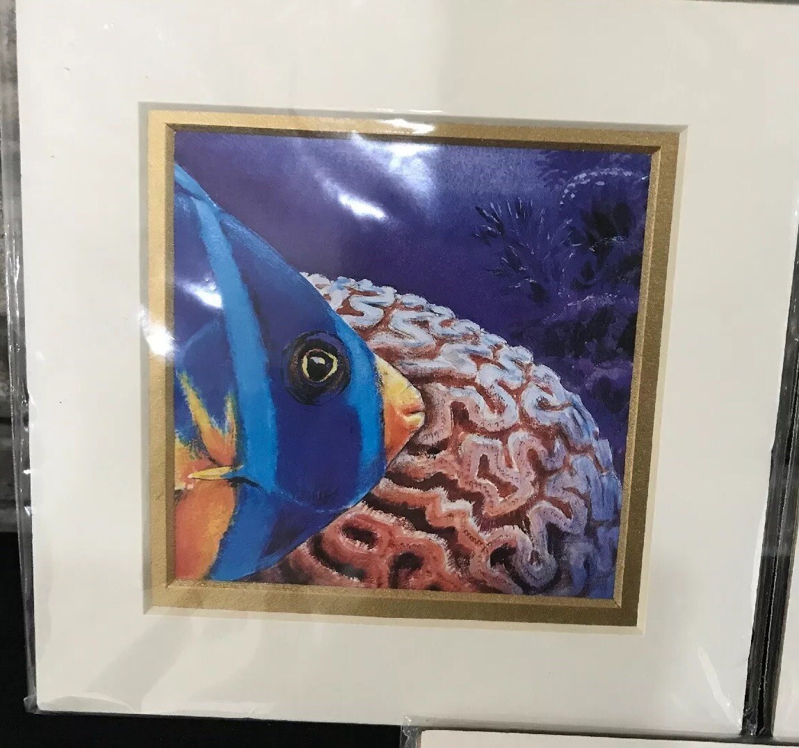 Tropical Ocean Nautical fish Wall Art Multi Color Angel Fish Set 3 Matted 6×6