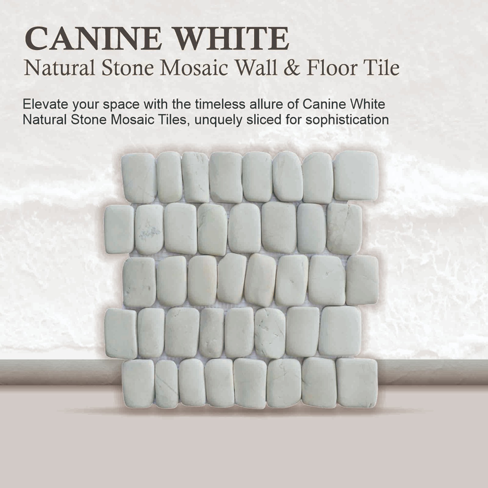 Canine White Natural Stone Mosaic Wall & Floor Tile ($16.8/SqFt)