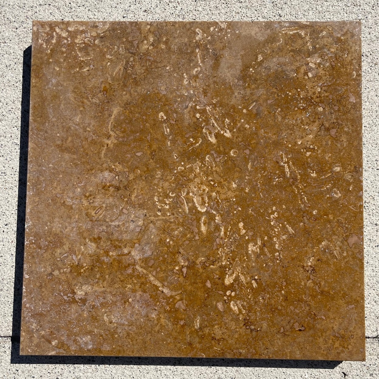 Chocolate Brown 12×12 Tile Marble Stone Floor Wall Remodel crate 200 SQ FT T-27B