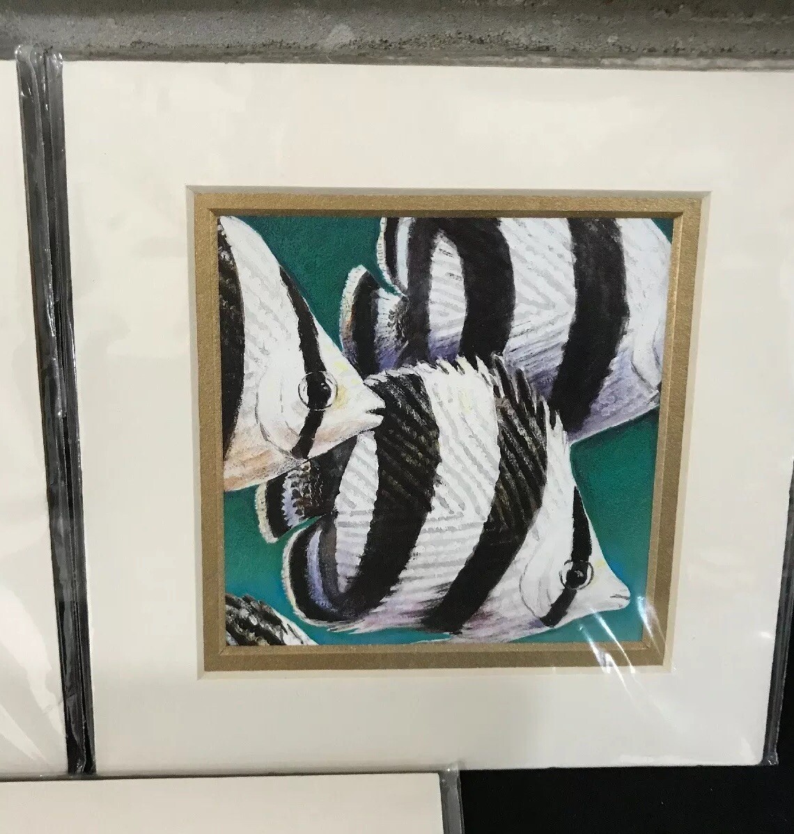 Tropical Ocean Nautical fish Wall Art Multi Color Angel Fish Set 3 Matted 6×6