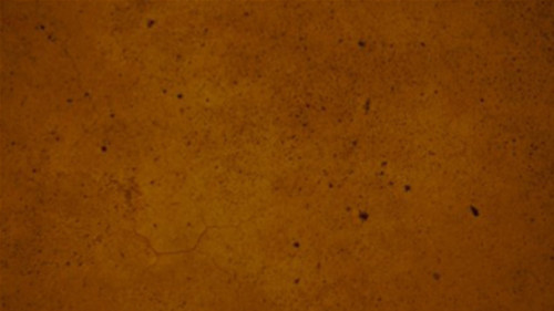 Fast Drying Concrete Stain-Professional-Easy to Use Sample Pack 16 4oz Bottles