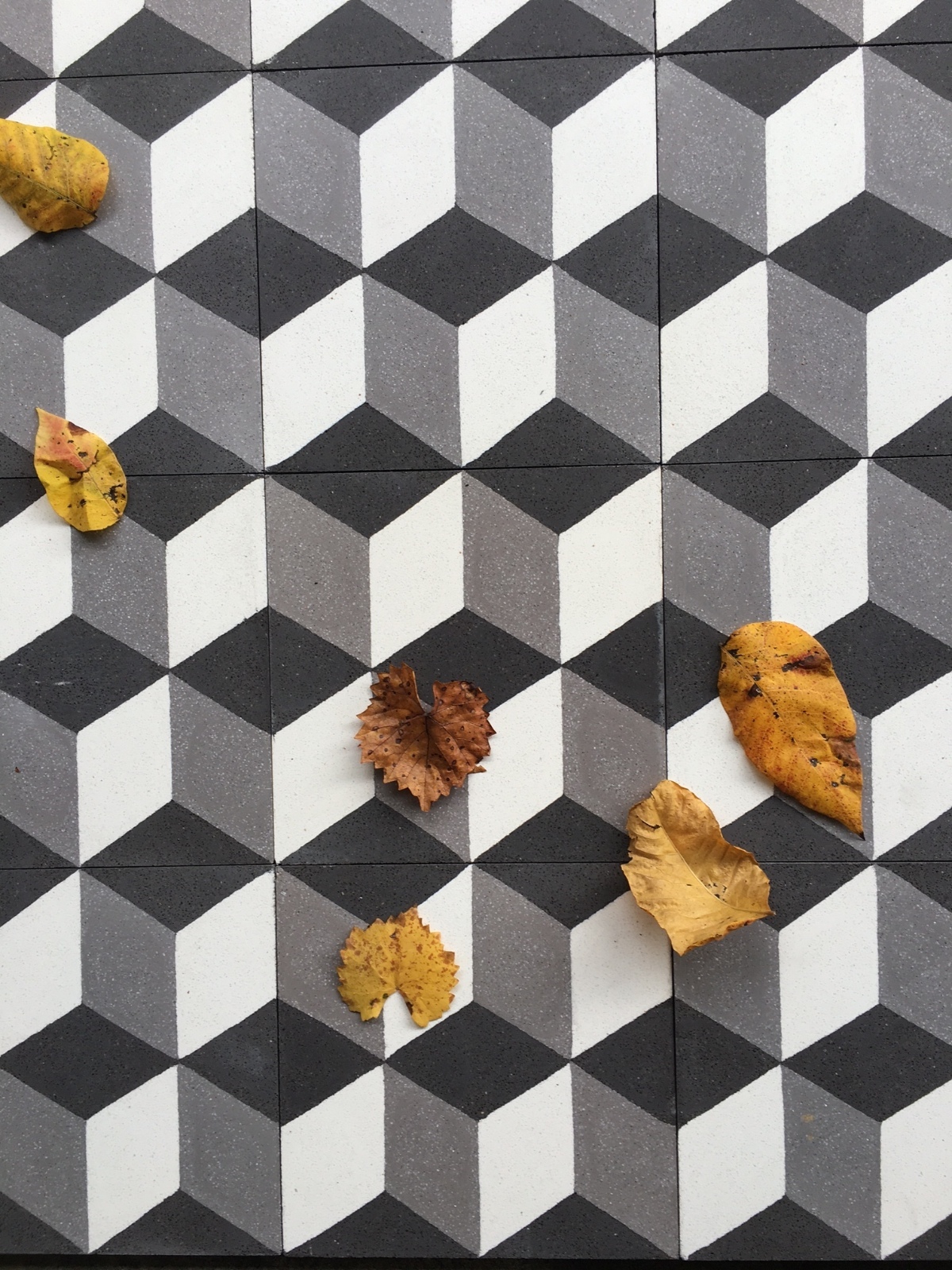 8×8 Hexagonal 3 Dimensional Encaustic Cement Floor and Wall Tile Kitchen Bath