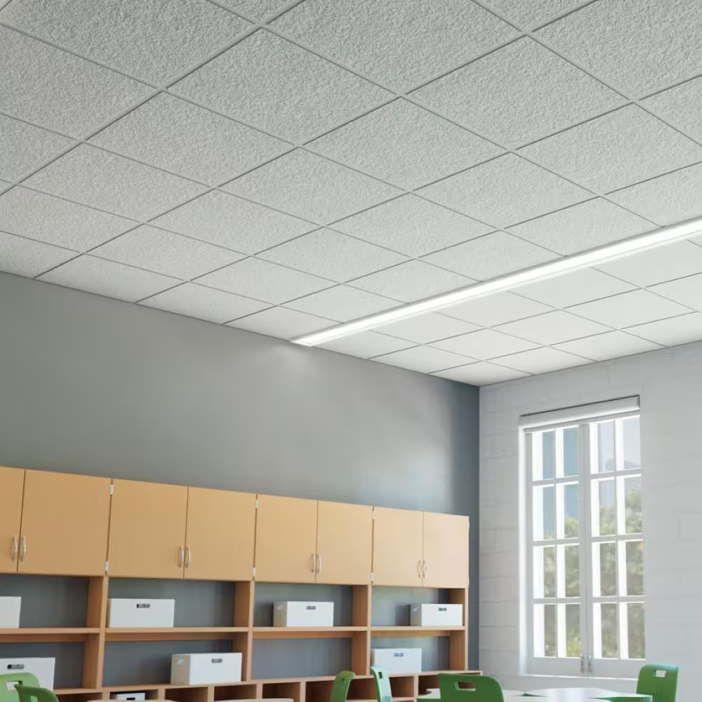 2 Ft. X 2 Ft. Frost White Shadowline Bevel Lay-In Ceiling Tile, Case of 8 (32 Sq