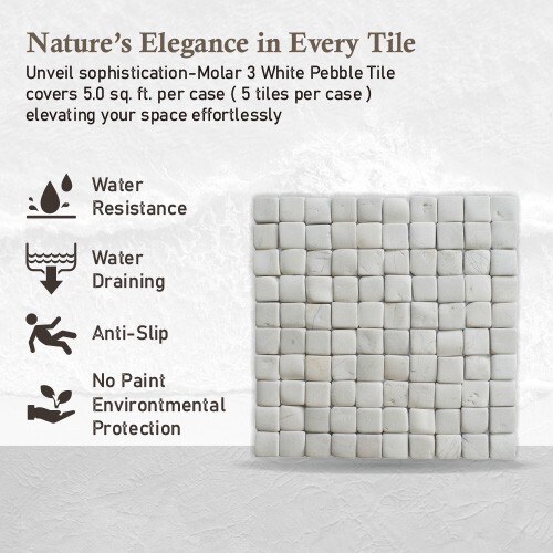Molar 3 White Natural Stone Mosaic Wall & Floor Tile ($16.34/SqFt)