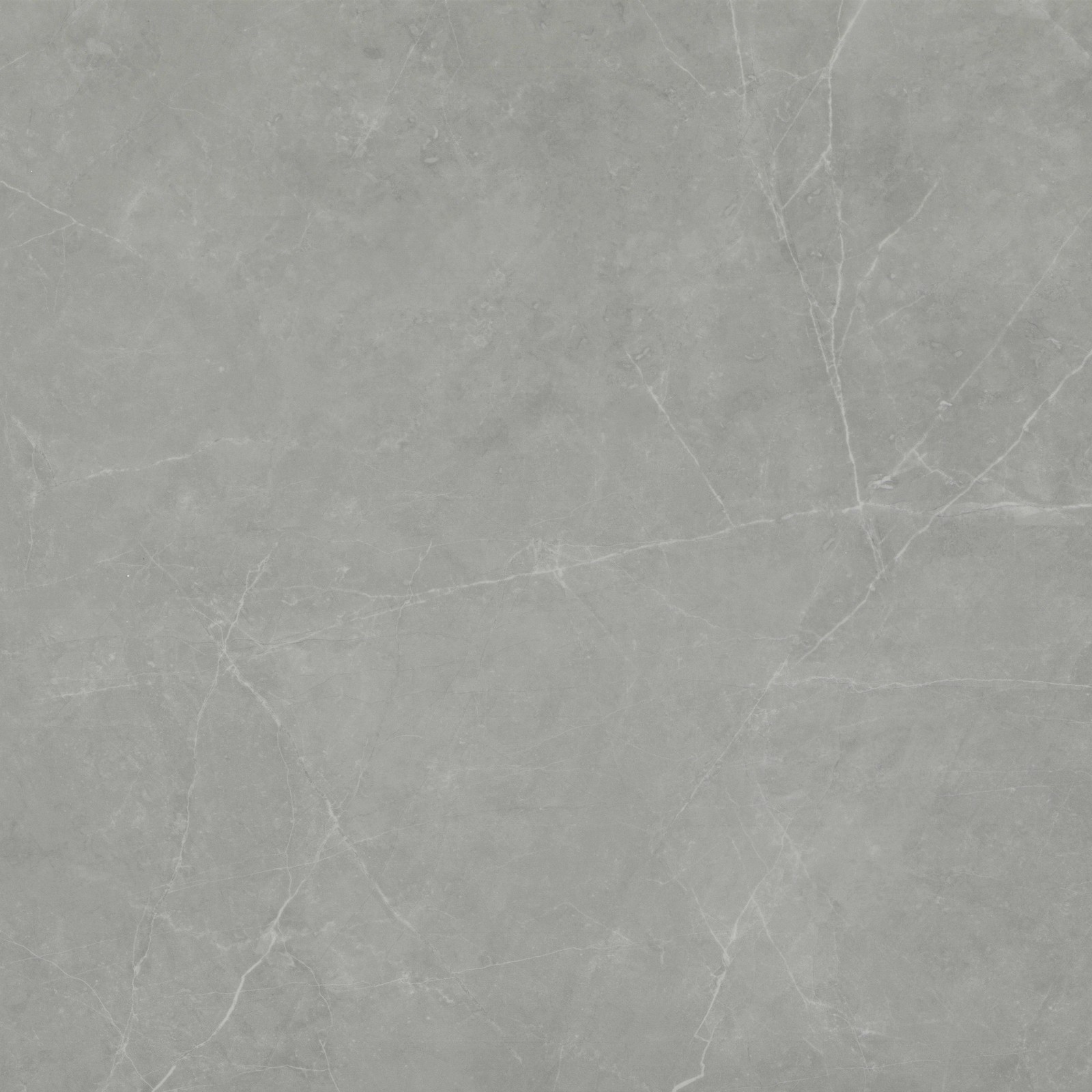 Emser Tile F20STER2424M Sterlina II – 24″ x 24″ Square Floor and – Silver