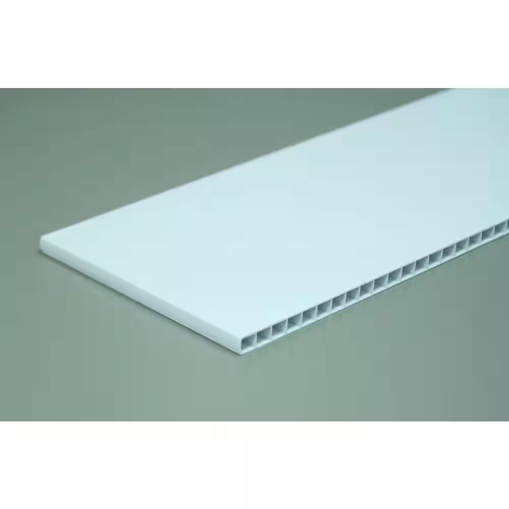 2 Ft. X 4 Ft. Lay-In Plastic Ceiling Panel (32 Sq. Ft. / Case)