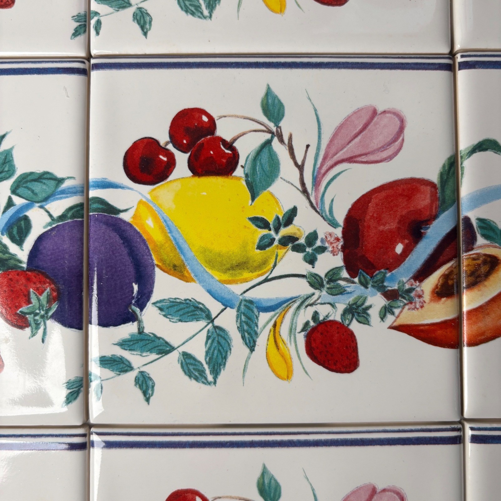 Fruit Ribbon Ceramic Tiles 4.5×4.5 Multicolor Mediterranean 9 Piece Set