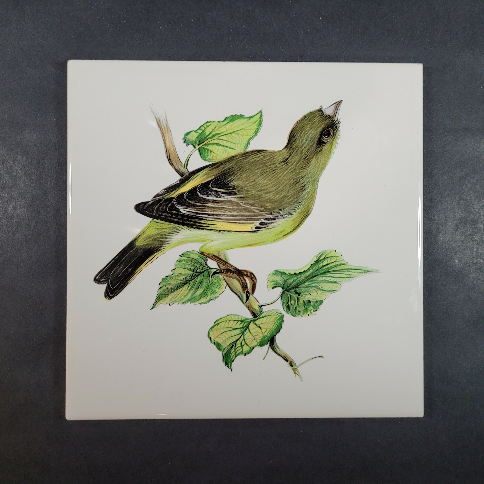 Mettlach Bird Ceramic Tile Made in Germany Saar Green 6×6