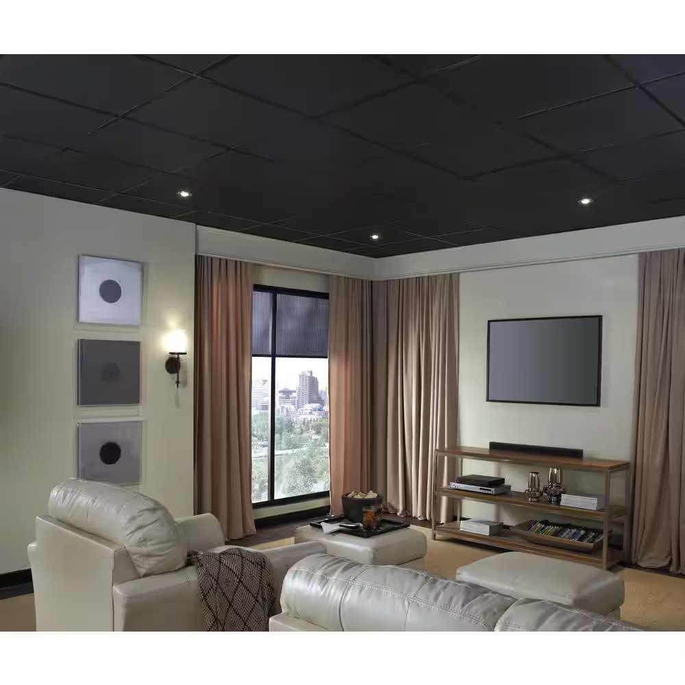 Fine Fissured Black 2 Ft. X 2 Ft. Lay-In Ceiling Tile (64 Sq. Ft. / Case)
