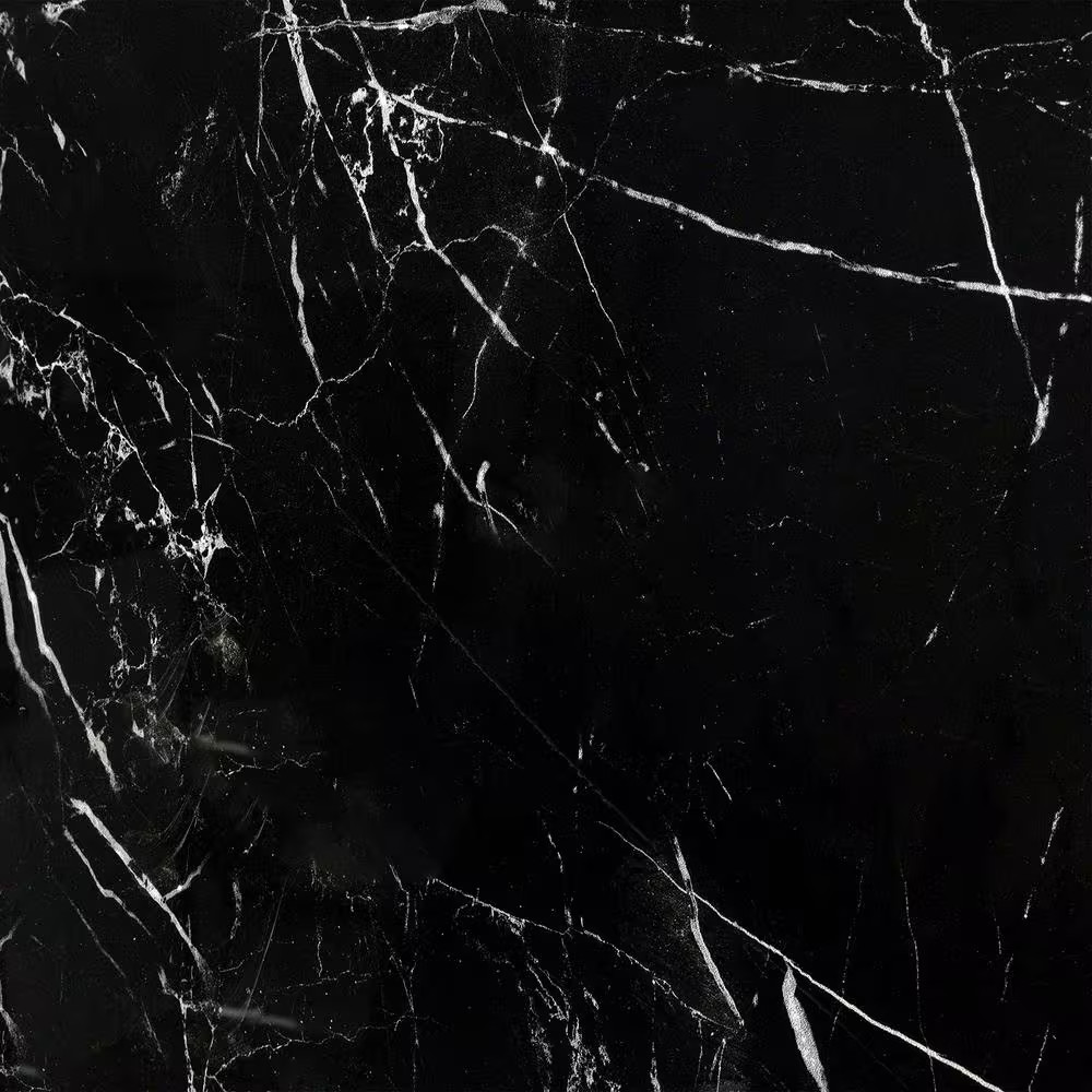 Marmo Black 23.62 In. X 23.62 In. Polished Marble Look Porcelain Floor and Wall