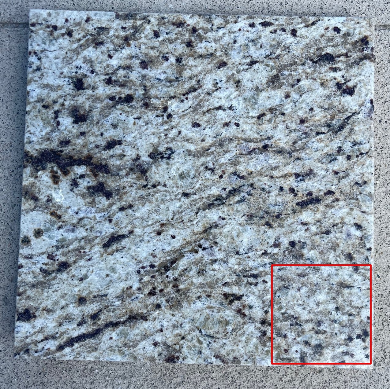 Tile Granite Natural Stone Giallo Ornametal Floor Wall About 3×3 SAMPLE TS-15B