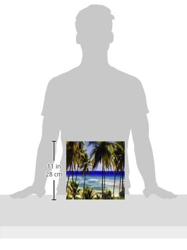 3dRose Tropical Palm Trees Blue Ocean Day Scene Ceramic Tile 12