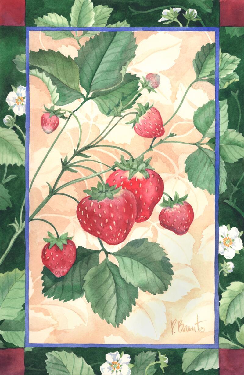 Ceramic Tile Mural Kitchen Backsplash – Scarlet Strawberry – Fruit – Chef – Food
