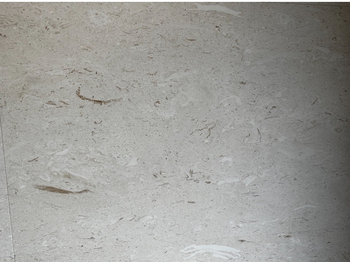 Limestone floor tile 24×24