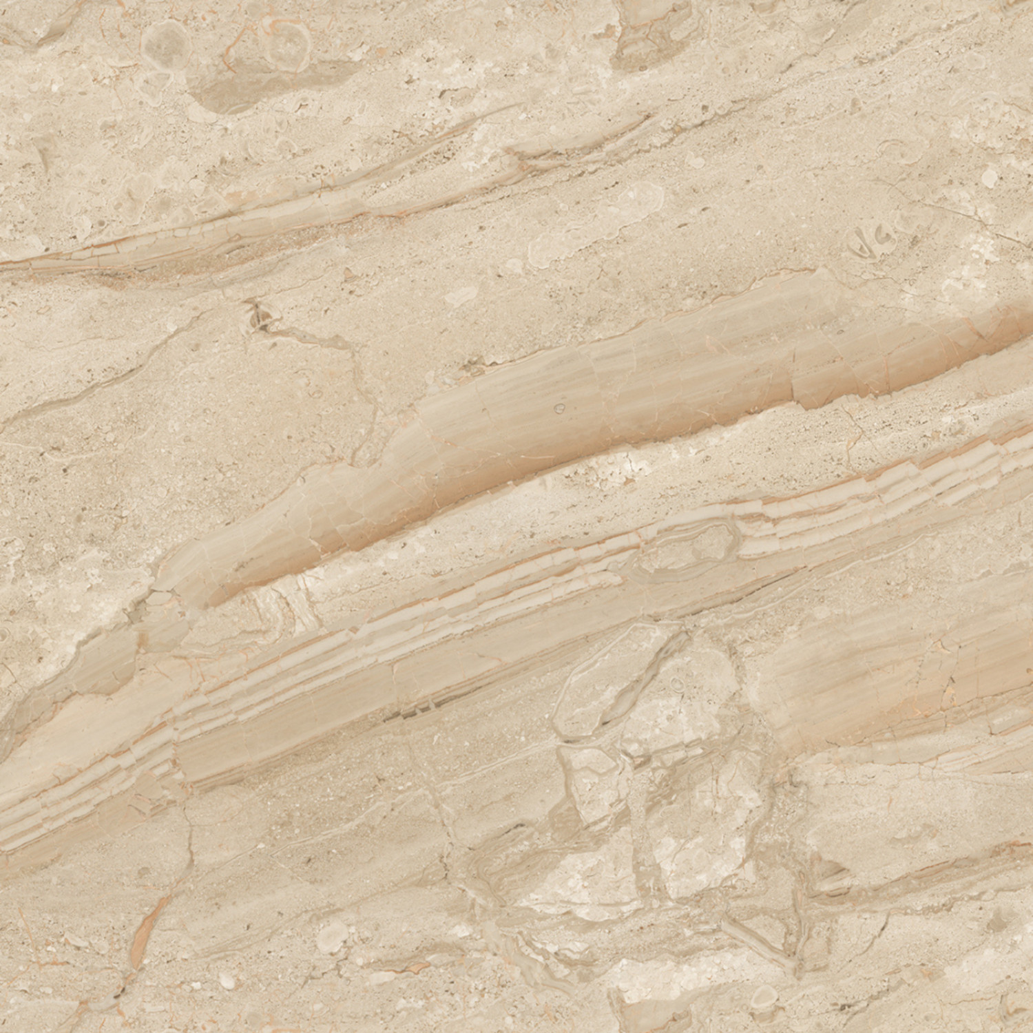 My Luxury Flooring MK GLOSSY Endmatch 37 Porcelain Tiles – 24×48 In Light Beige