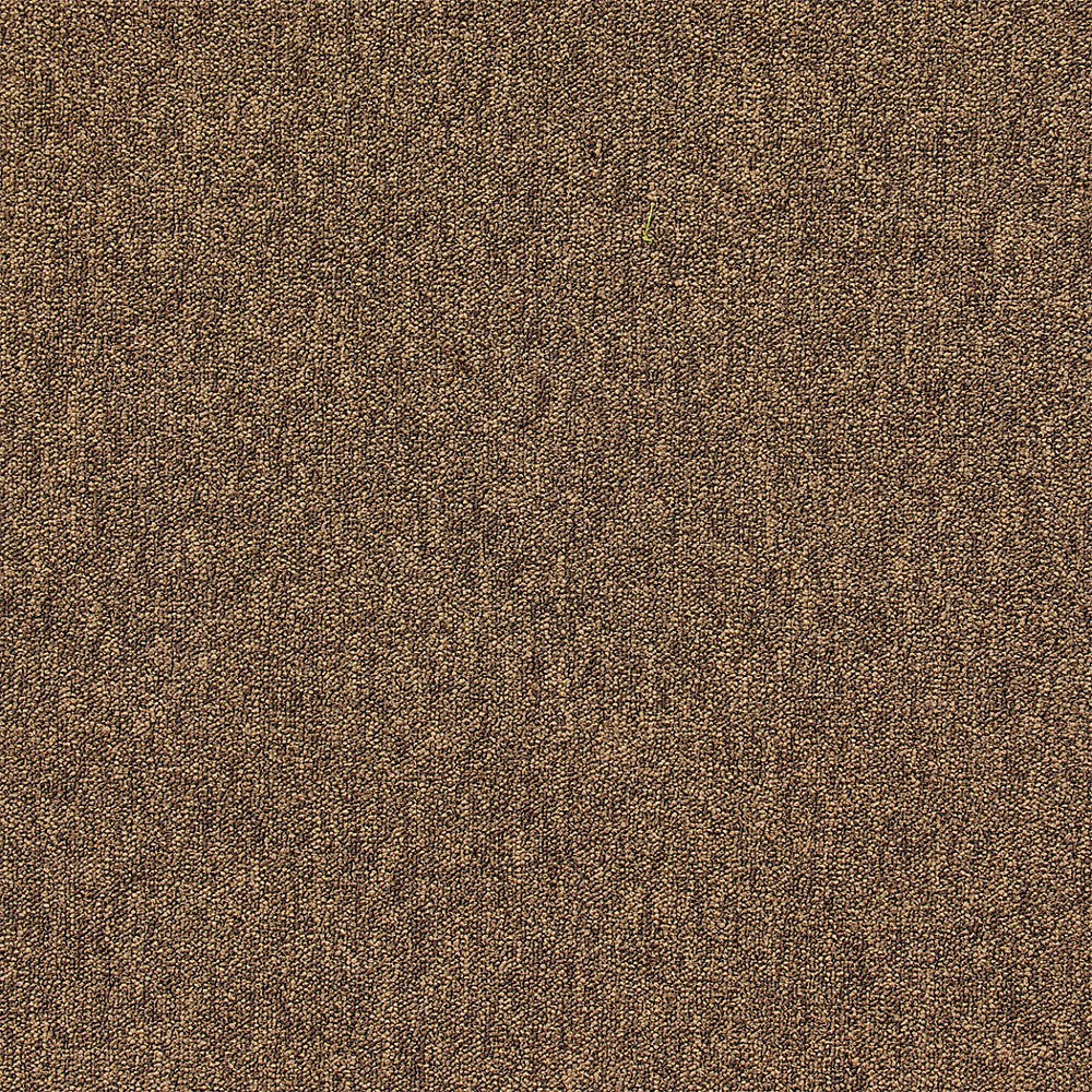 GRAINGER APPROVED 31HL69 Carpet Tile,19 11/16 in W,Coffee 31HL69