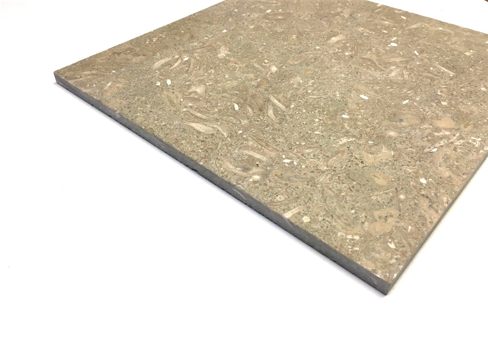 12×12 Seagrass Limestone Honed Straight Edge Backsplash Wall Tile Kitchen Bath