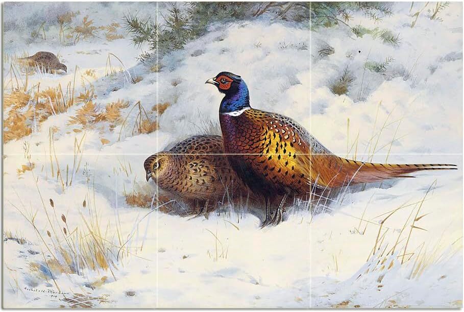 Tile Mural A Pair of Pheasant in Snow Kitchen Wall Backsplash Marble Ceramic