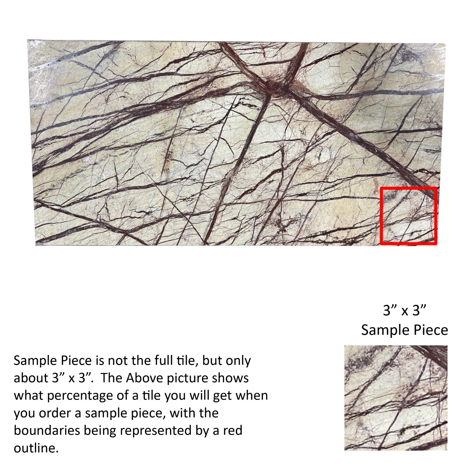 3×3 Sample Piece Rainforest Brown Remodel Stone Floor Bathroom Tile TS-100