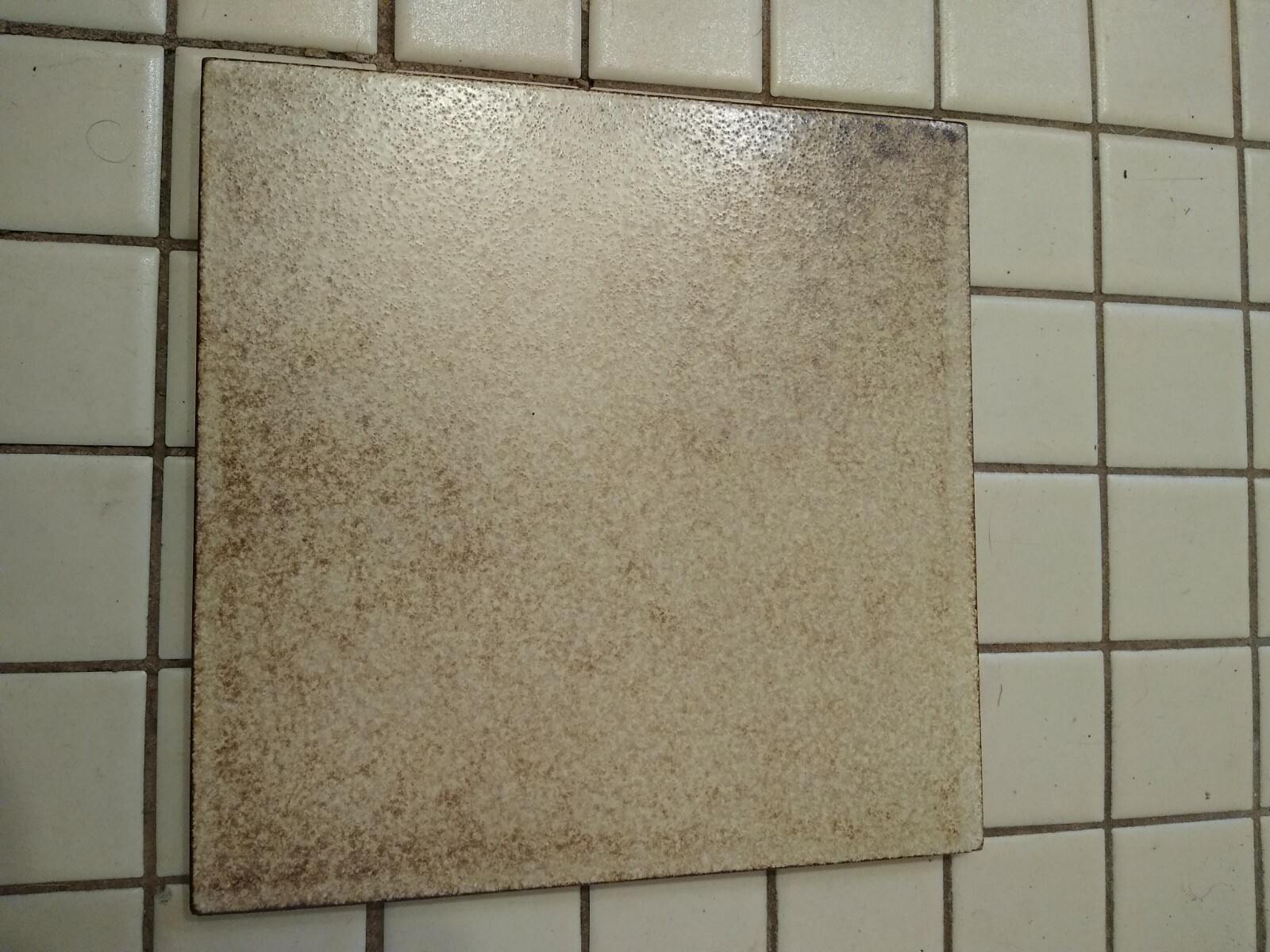 Marazzi Tile 8″X8″ porcelain tile vintage