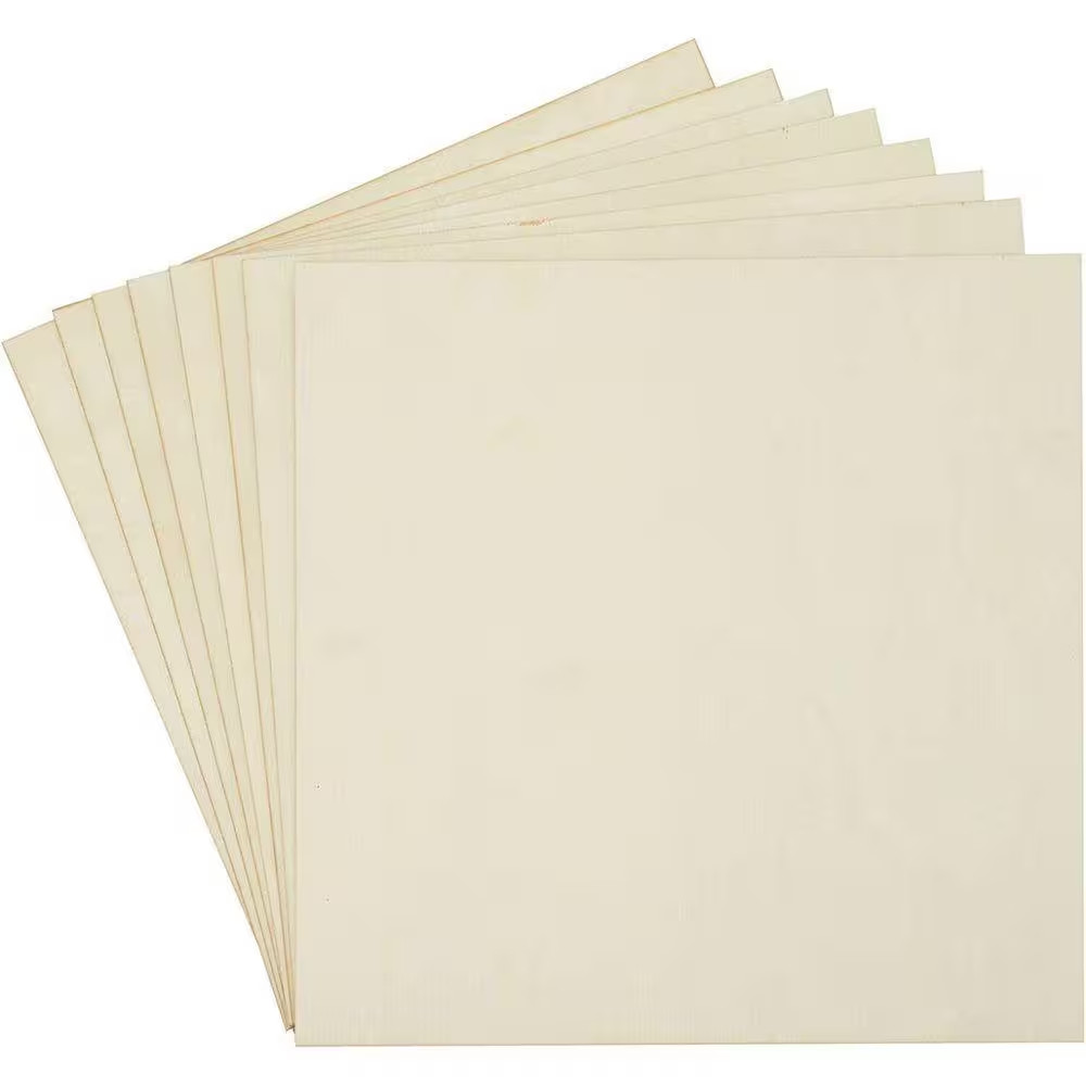 1 In. X 1 Ft. X 1 Ft. ACX Hi-Bor Pressure Treated Sanded Plywood