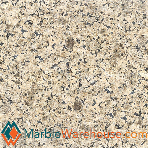 Venetian Gold Polished Granite Tile 12″x12″ + Free Shipping