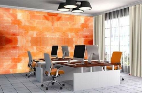 20 Himalayan Salt Bricks Tiles 8x4x1 For Spa Sauna Wall and Home Decor LOW PRICE