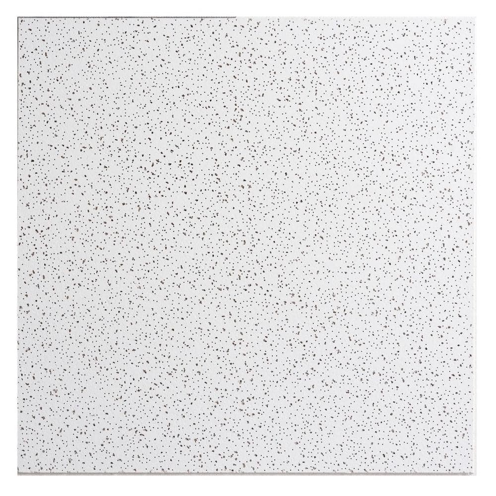 2X2 Ft. Radar Basic White Square Edge Lay-In Ceiling Tile Case of 4 (16 Sq. Ft.)
