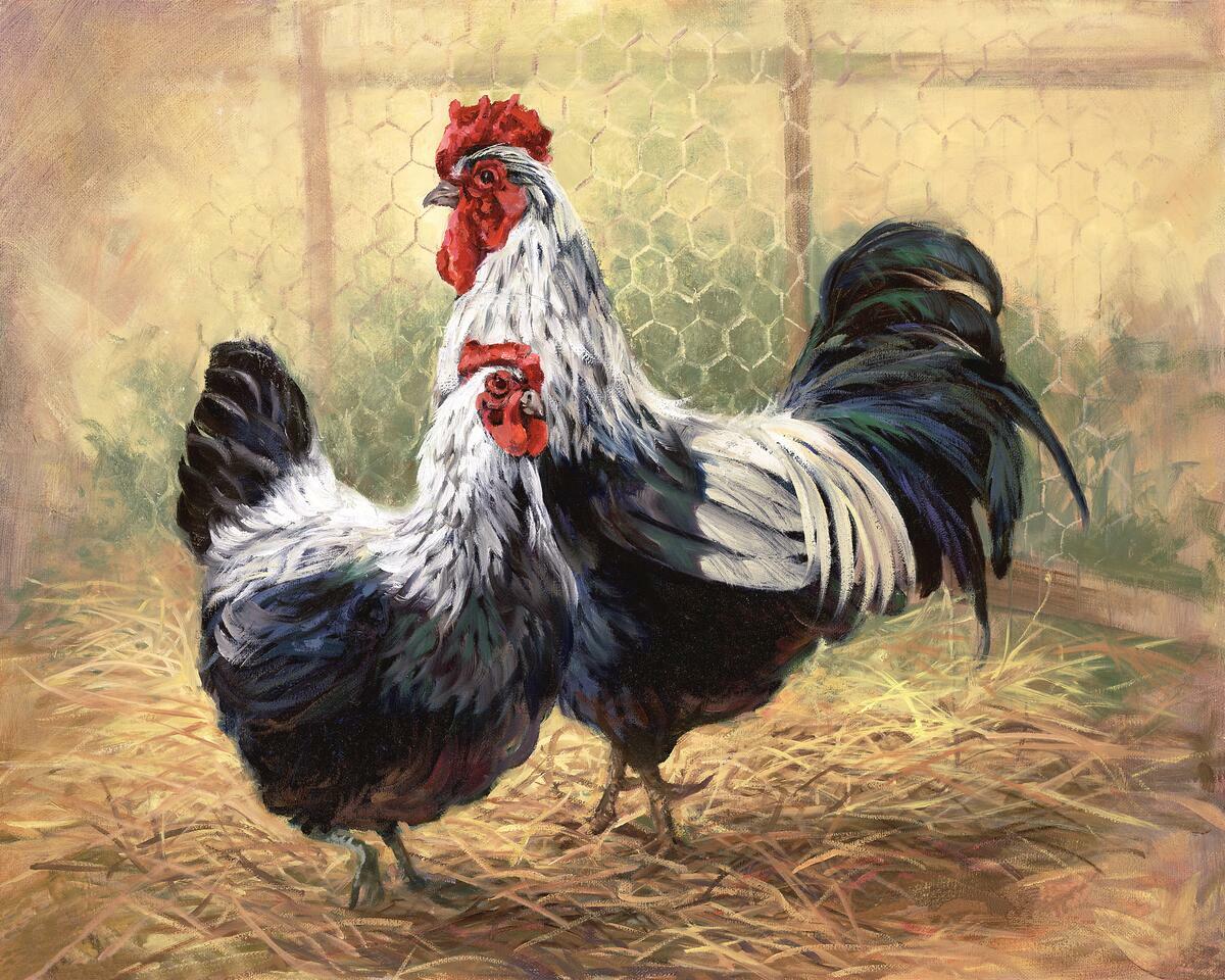 Tile Mural Kitchen Backsplash – Black Rooster and Hen – Farm Animals
