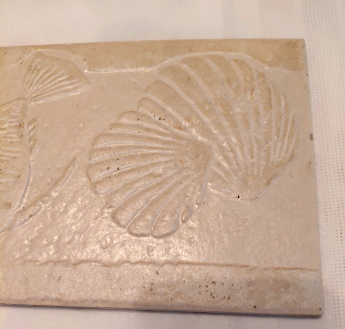 Nautical Sealife Fossil Style Art Tile Textured Backsplash Off White 12″ X 5”