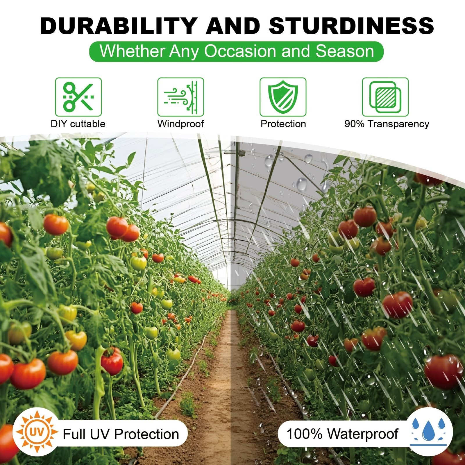 Greenhouse Plastic Sheeting 12 x 25ft – 6 Mil Clear Polyethylene Film, UV Res…