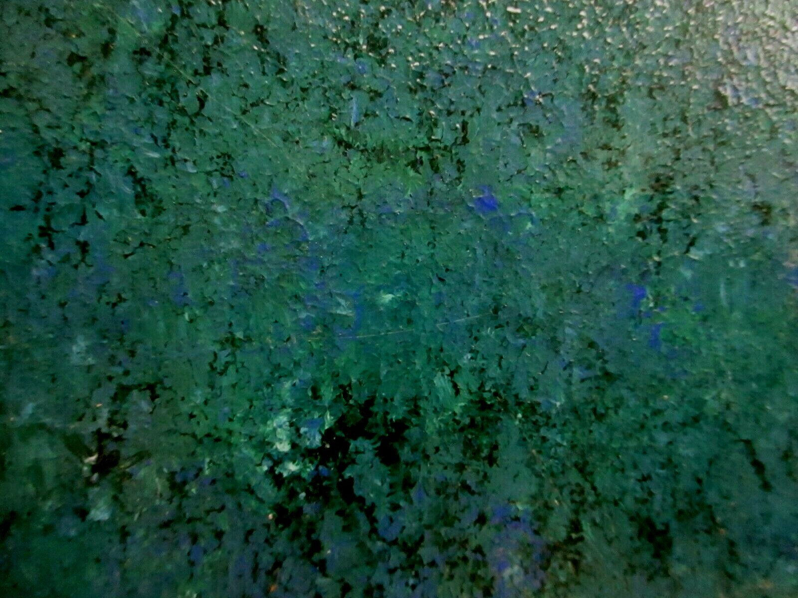 1 Wall Tile US Ceramic USA 4-1/4″ Hand Painted Turquoise Green over Snow White