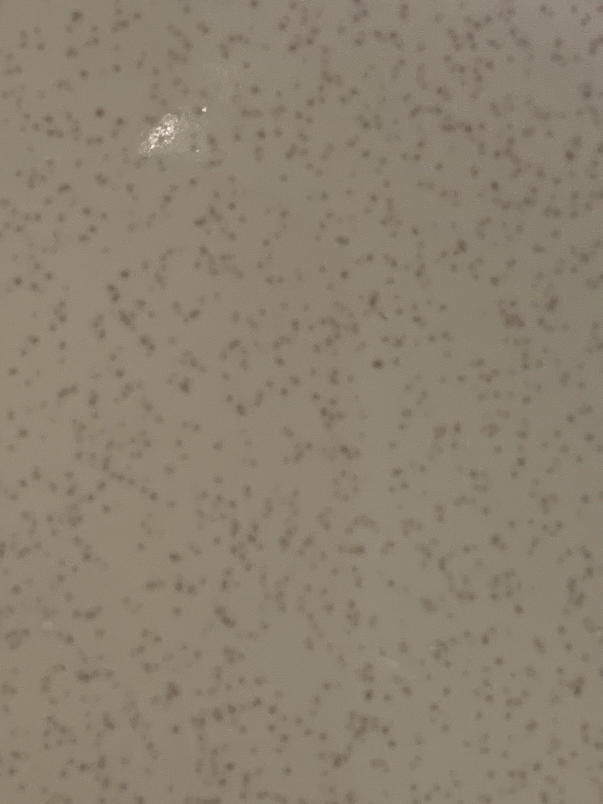4 1/4″ Square US Ceramics Romany Spartan Beige Speckled Glossy Ceramic Tile 200+