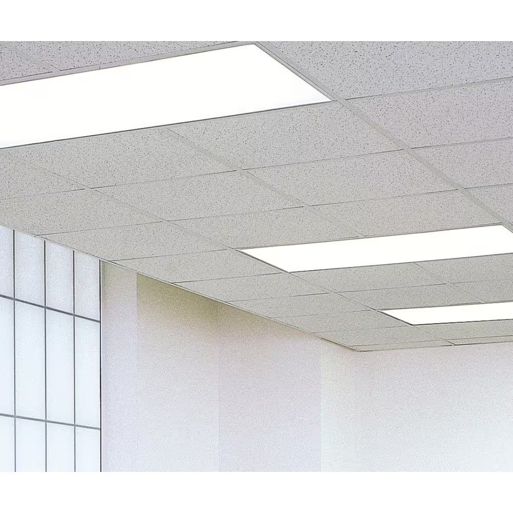 2X2 Ft. Radar Basic White Square Edge Lay-In Ceiling Tile Case of 4 (16 Sq. Ft.)