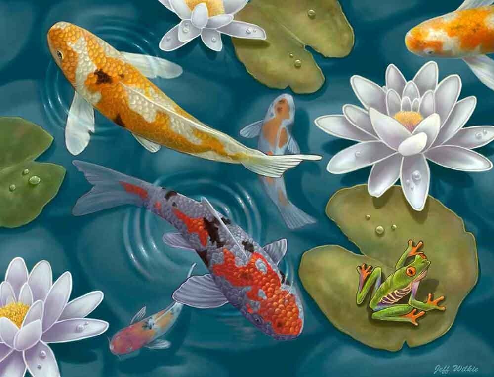 Koi Fish Accent & Decor Tile Jeff Wilkie Sea Life Art POV-JWA018AT