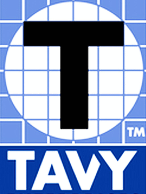 100 Tile Brick & Marble T SPACERS Blue 3/16″ 5 mm Two 2 sided Plastic TAVY 5005