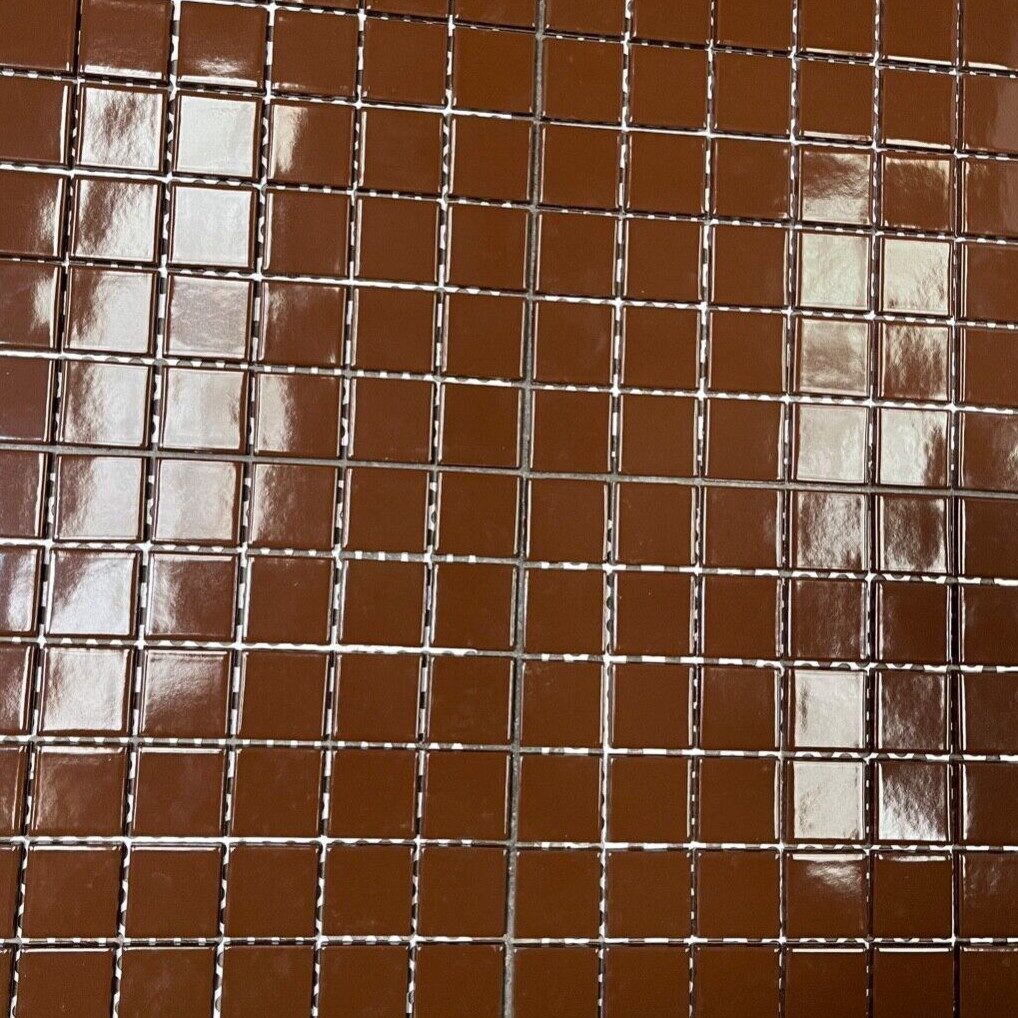 2×2 Bathroom Tile Brown Wall Remodel Glossy Ceramic C#550 100 SQ FT