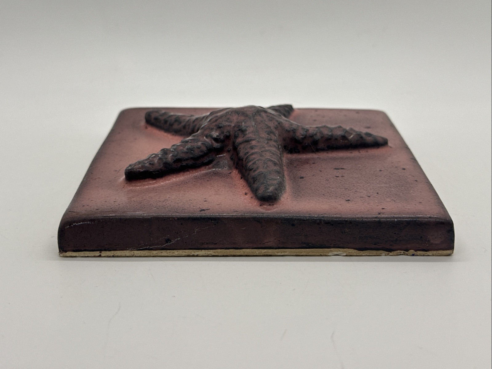 5×5 3D Starfish Ceramic Wall Tile Pink Hue Douglas Roberts Coastal Ocean