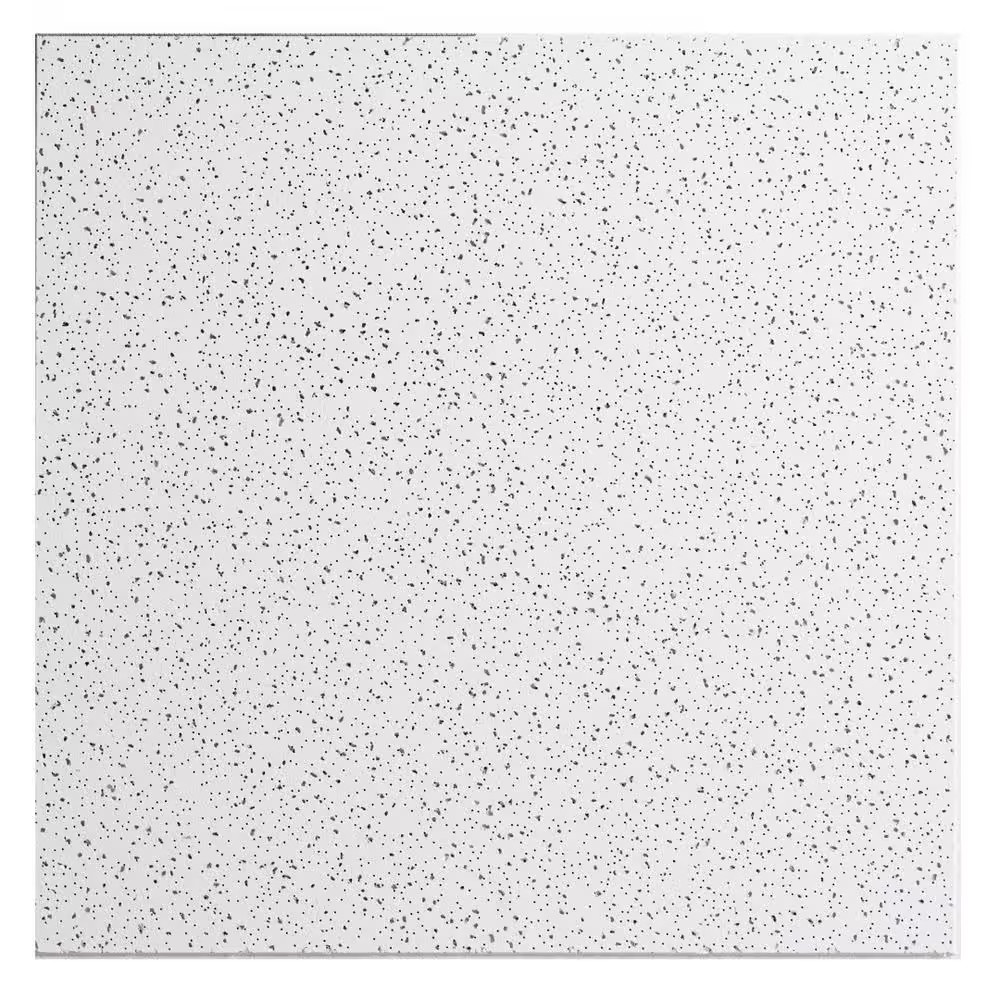 2 Ft. X 2 Ft. Radar Basic White Square Edge Lay-In Ceiling Tile, Case of 4 (16 S