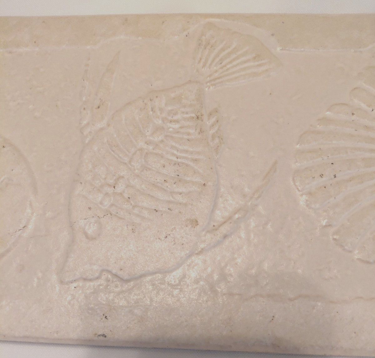 Nautical Sealife Fossil Style Art Tile Textured Backsplash Off White 12″ X 5”