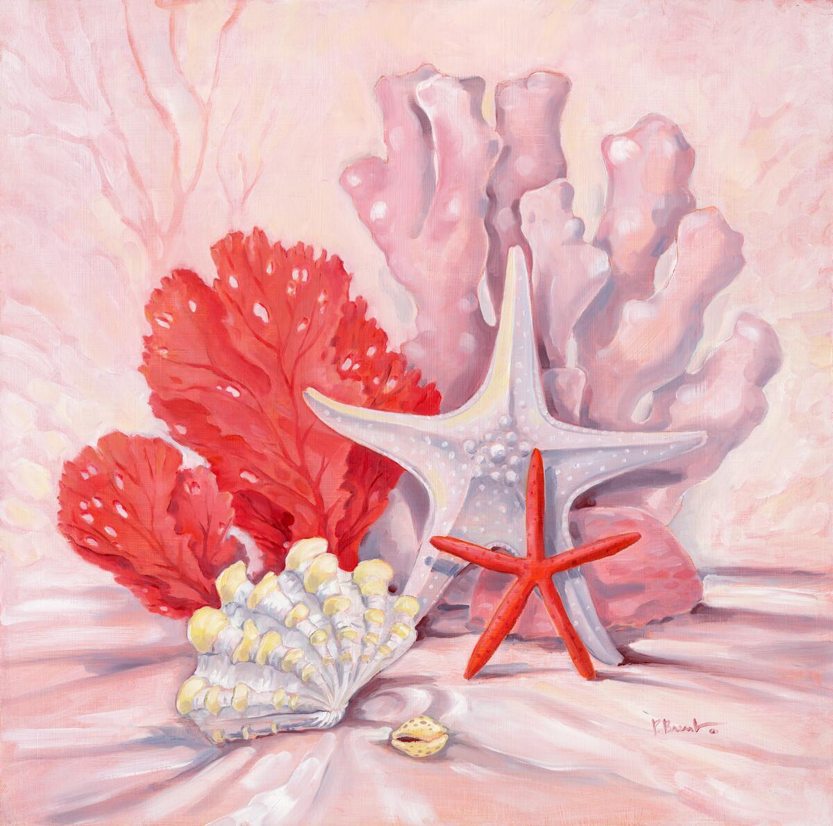 Ceramic Backsplash Tile Mural Sea Shell Themed – Coral Still Life 2