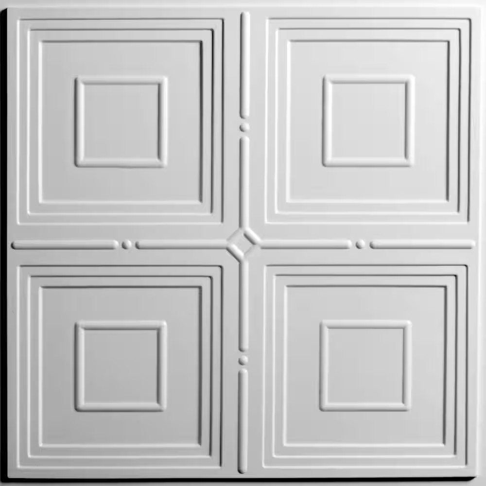 Jackson White 2 Ft. X 2 Ft. Lay-In or Glue-Up Ceiling Panel (Case of 6)