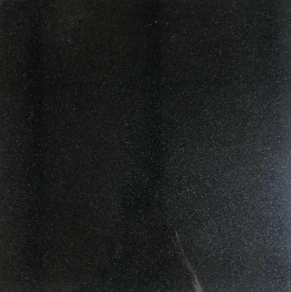 12×12 Black Granite Kitchen Floor Tile Stone Remodel (230 Square Feet) T-46-6