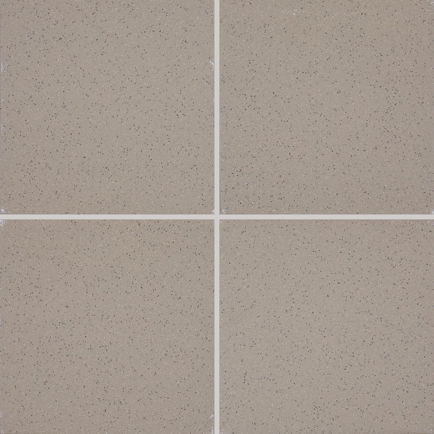 Quarry Textures 8″ X 8″ Floor Tile in Abrasive Ashen Gray